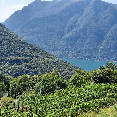 Cascina Teresina Gospodarstwo agroturystyczne