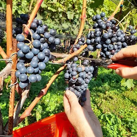Cascina Teresina Gospodarstwo agroturystyczne *